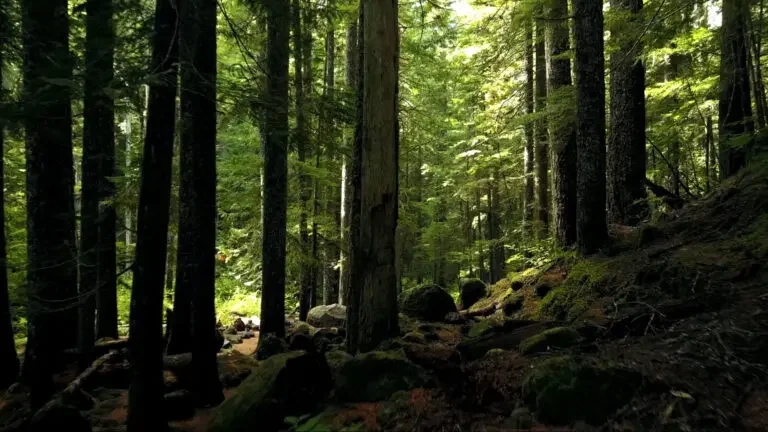 Taotlemistingimused: Kagu-Eesti ettevõtluse arengutoetus